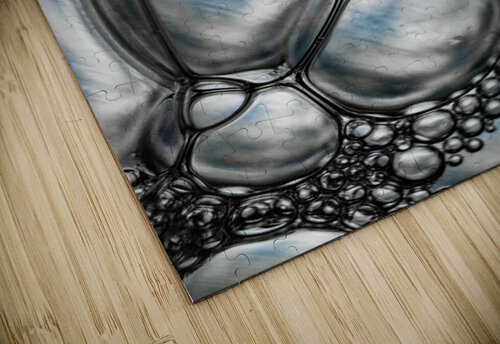 LUCIDITY Jasmin Javon puzzle