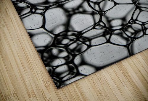 INTERLINKED Jasmin Javon puzzle