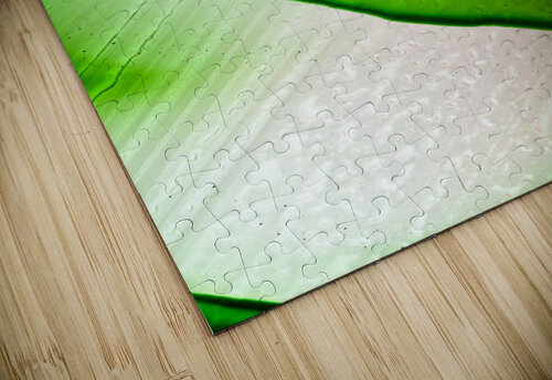 ENGAGE Jasmin Javon puzzle