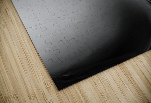 INTELLECTUAL Jasmin Javon puzzle