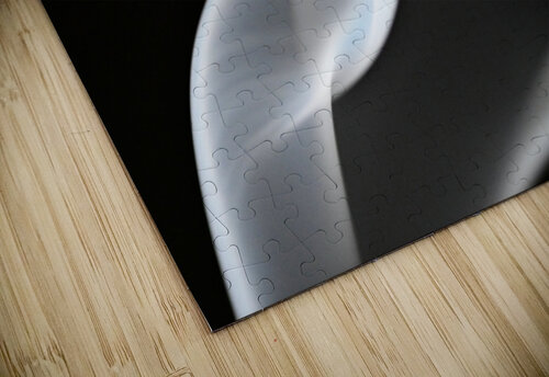 INHALE Jasmin Javon puzzle