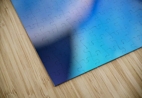 BLOOM Jasmin Javon puzzle