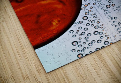 INSIGHT Jasmin Javon puzzle
