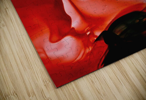 RARE HEART Jasmin Javon puzzle