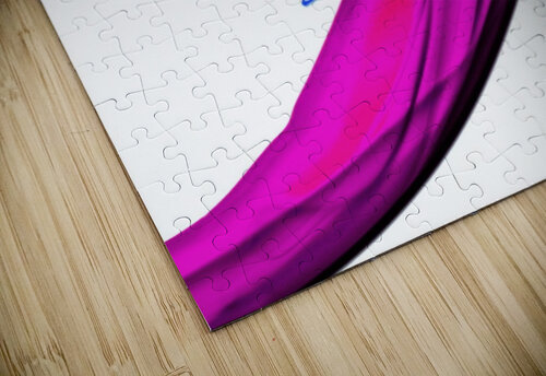 PROGRESSION Jasmin Javon puzzle