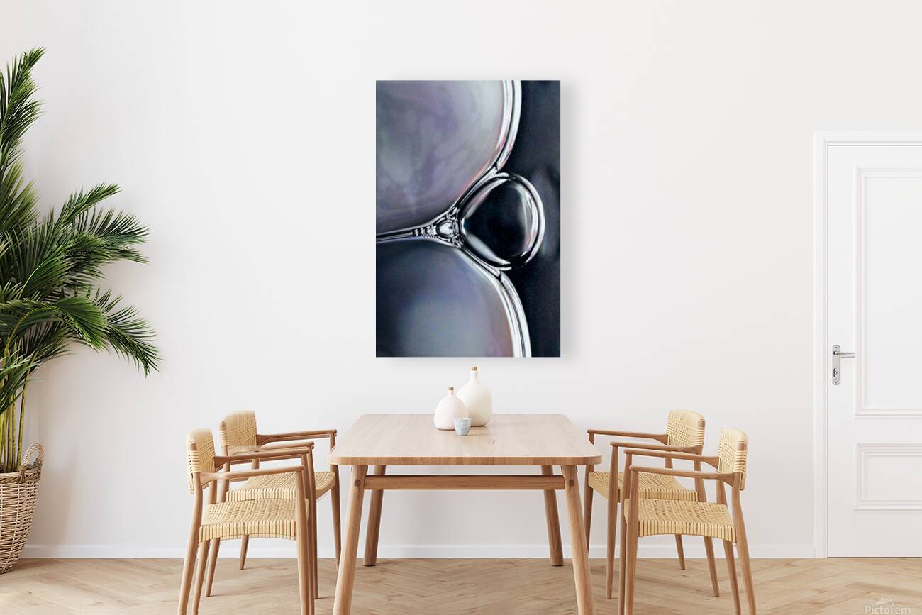 CHARMED Reproduction