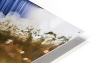 Wake HD Metal print