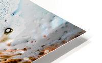 FROSTBITE HD Metal print