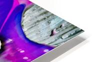 DRIP HD Metal print