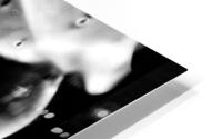 TONE DEAF HD Metal print