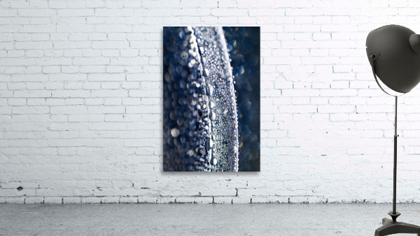 IRRADIATE Wall Preview