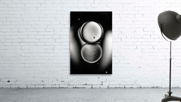 CO EXIST Wall Preview