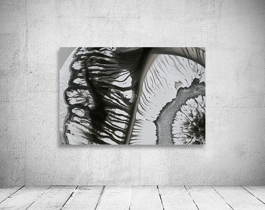 DREAM STATE Wall Preview