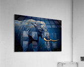 African Elephant in Blue Tones Gicl e Print 3210 Acrylic Print