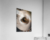 Molten Chocolate Cake Acrylic Print