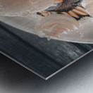 Lava Chocolate Cake Metal print