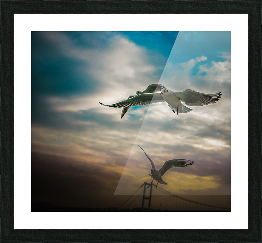  Fine Art print