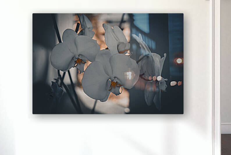 Harmonie Orchid Reproduction
