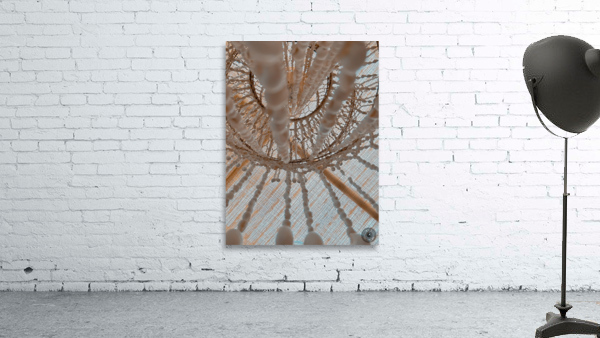 Seashell Atmosphere Wall Preview