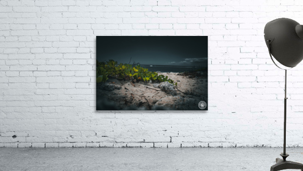Harmony Beach Wall Preview