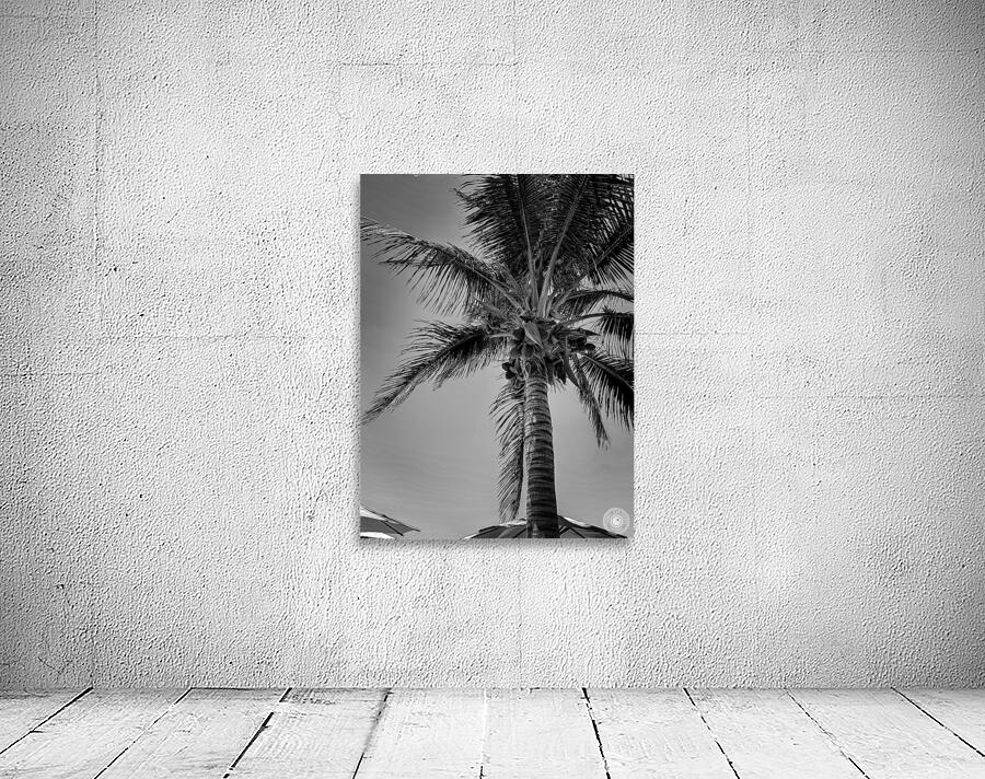 Natural Umbrella Wall Preview