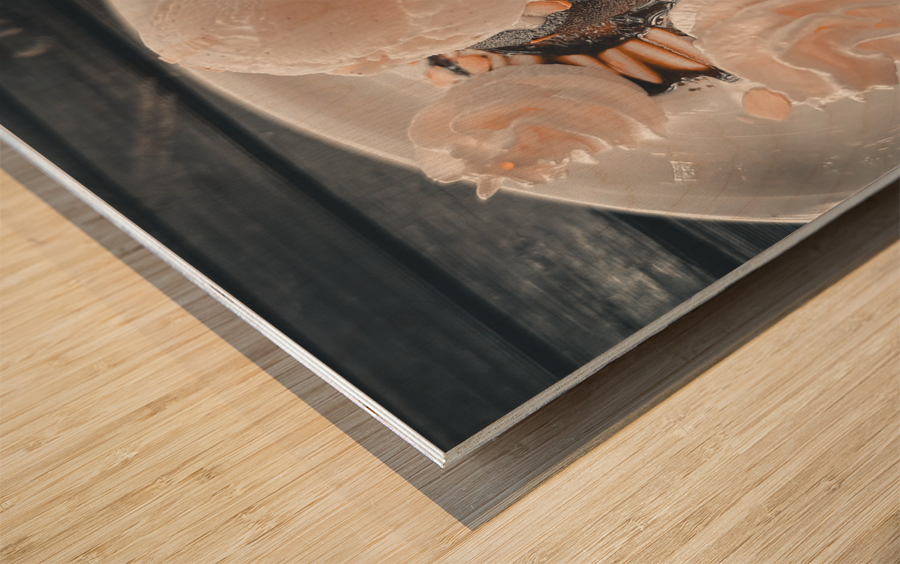 Lava Chocolate Cake Wood print