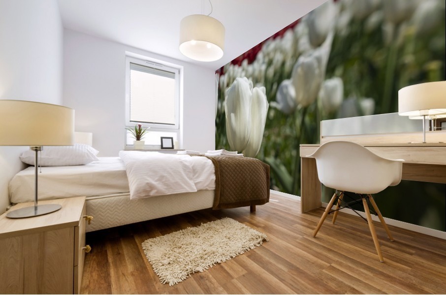 White Tulip Mural print