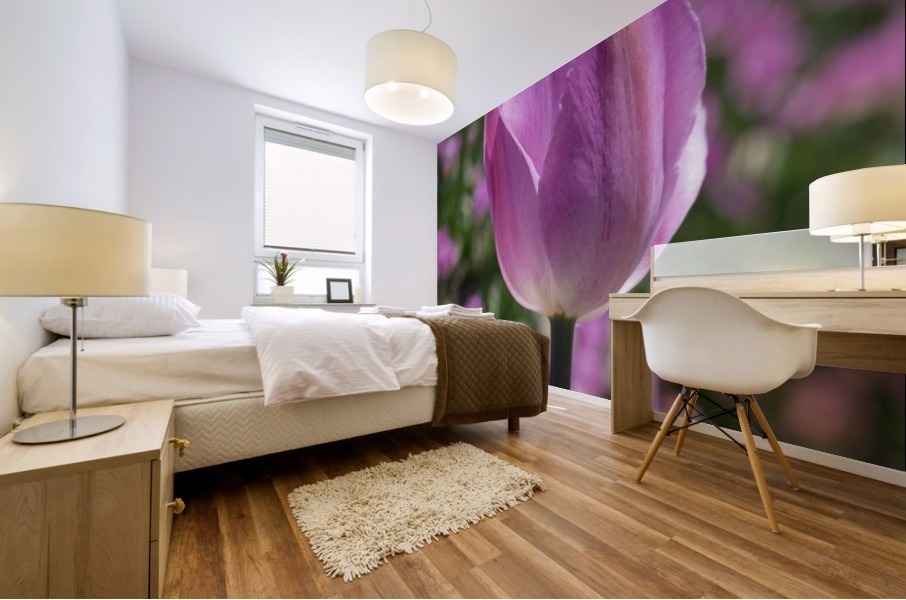 Pink Tulip Mural print