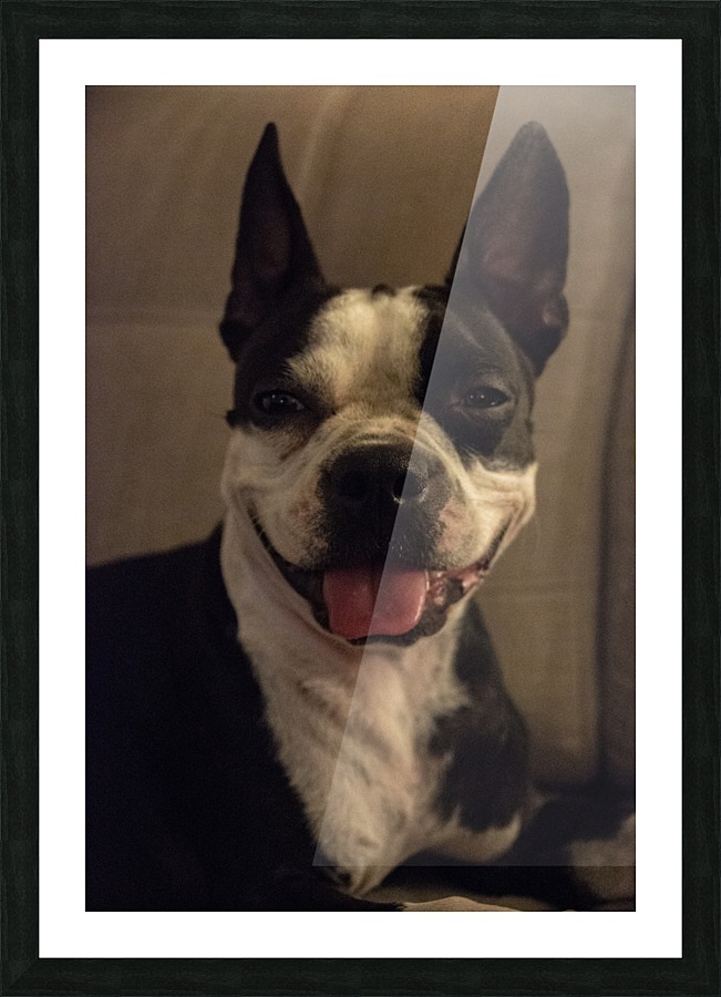Millie Picture Frame print