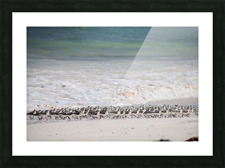 Paradise Picture Frame print