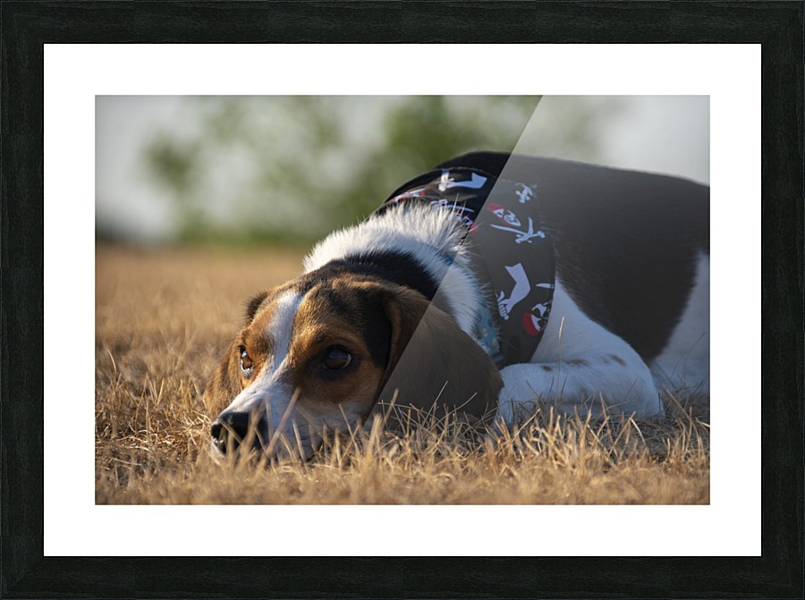 The Hunter Picture Frame print