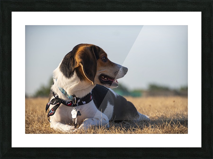 What Is That 2 Picture Frame print