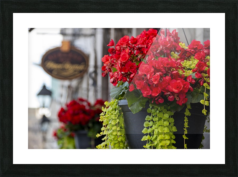 Reds Picture Frame print