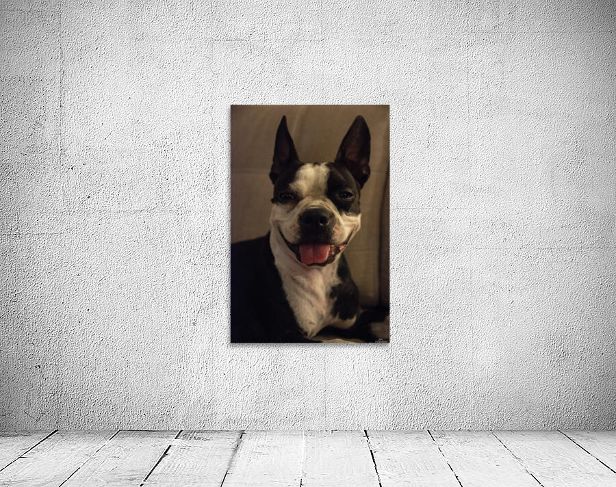 Millie Wall Preview