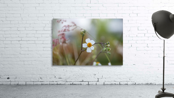 White Flower Wall Preview