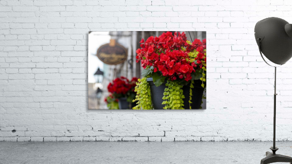 Reds Wall Preview