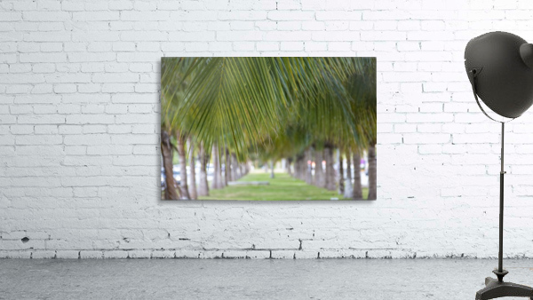 Palm trees Wall Preview