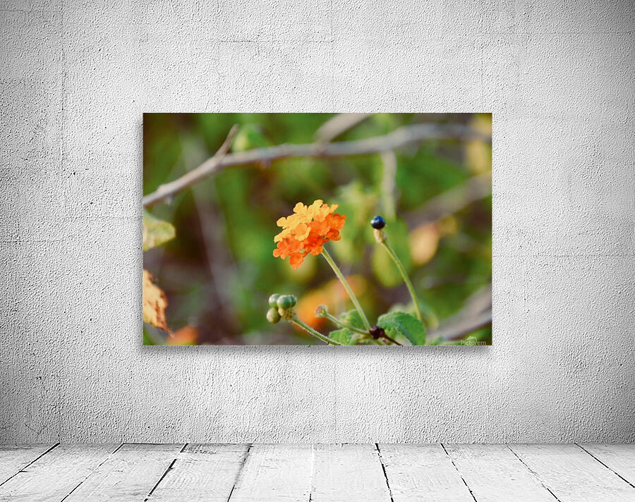 Flowers Wall Preview