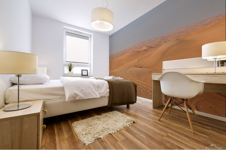 Rolling Sand Dunes Mural print