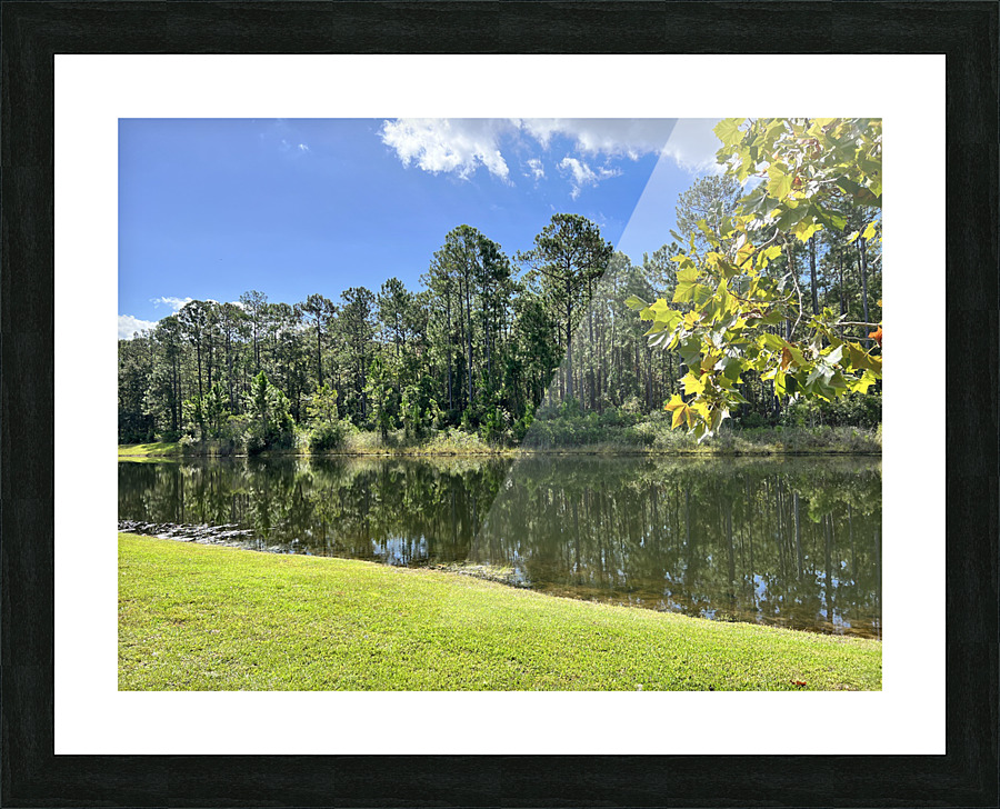 Reflections Picture Frame print