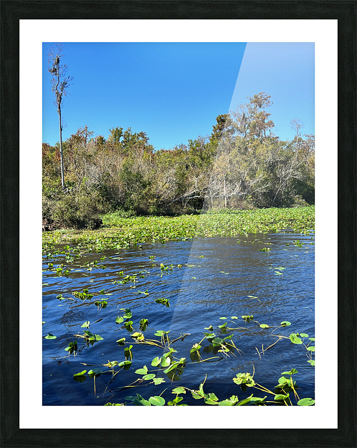 Wilderness Picture Frame print
