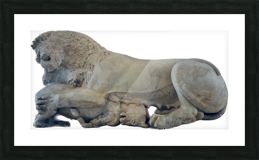 Lion Picture Frame print