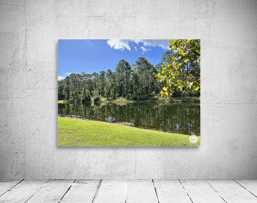Reflections Wall Preview