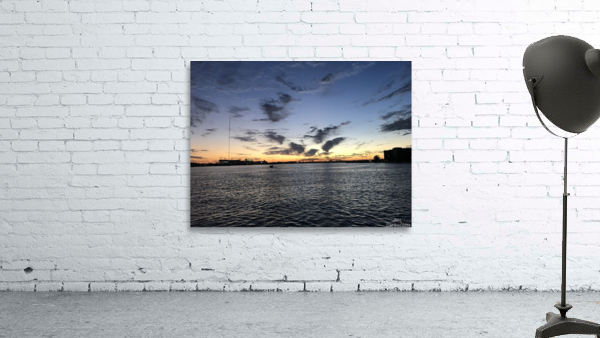 Nature Paintbrush Wall Preview