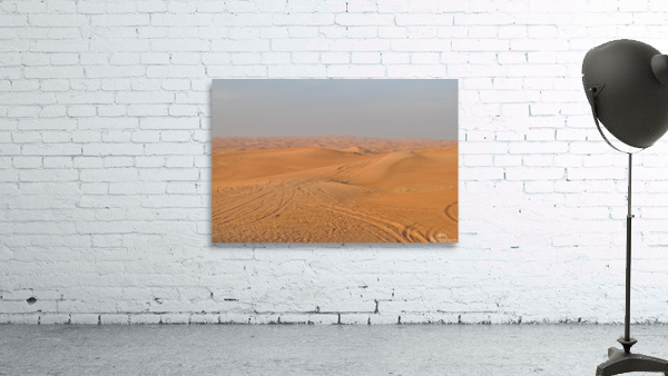 Rolling Sand Dunes Wall Preview