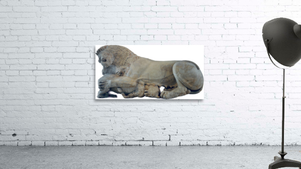 Lion Wall Preview
