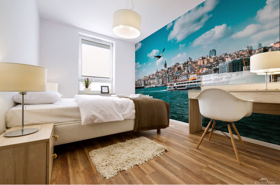 ISTANBUL TURKEY Mural print