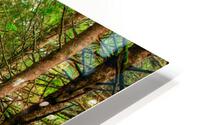 FINDING MY WAY HD Metal print