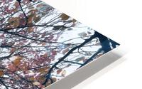AUTUMN VIBES  HD Metal print