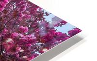 Spring  HD Metal print